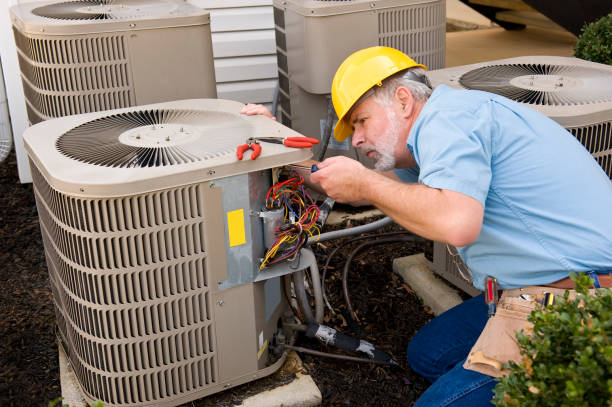 Best HVAC Air Duct Cleaning  in Llington, MI